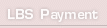 LBS payment